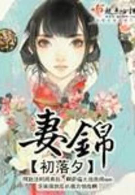 妻锦（校对版全本） 封面