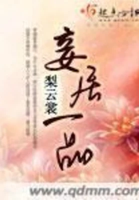 妾居一品(校对版全本) 封面