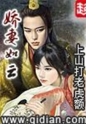 娇妻如云(校对版全本) 封面