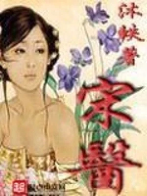 宋医(校对版全本) 封面