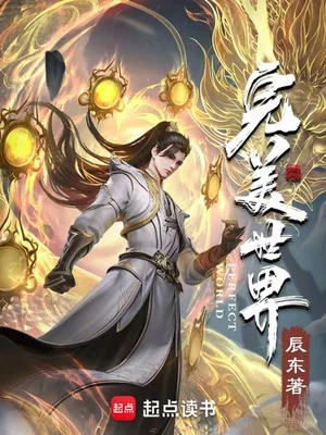 完美世界(校对版全本) 封面