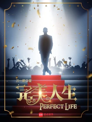 完美人生（校对版全本） 封面