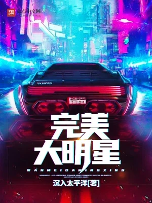完美大明星（校对版全本） 封面