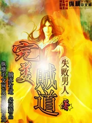 完美贼道（校对版全本） 封面