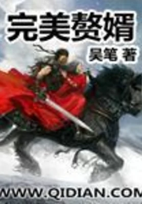 完美赘婿(校对版全本) 封面