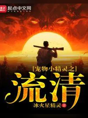 宠物小精灵之流清（校对版全本） 封面
