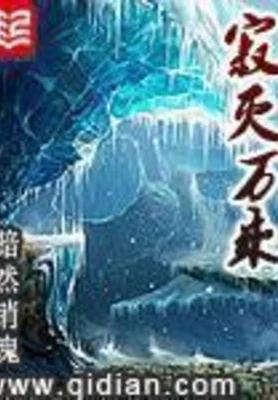 寂灭万乘（校对版全本） 封面