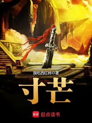 寸芒(校对版全本) 封面