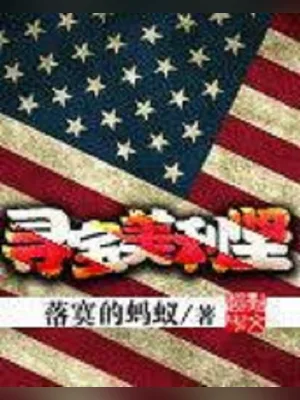 寻宝美利坚（校对版全本） 封面