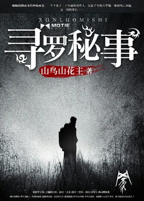 寻罗秘事(校对版全本) 封面