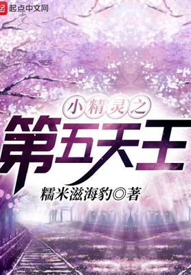 小精灵之第五天王(校对版全本) 封面