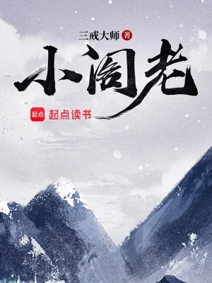 小阁老（校对版全本） 封面