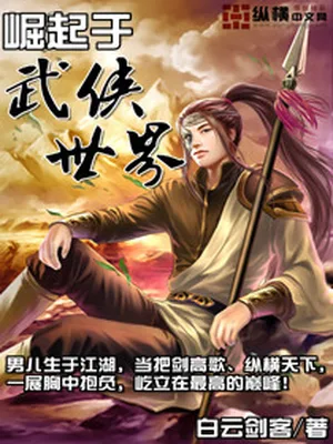 崛起于武侠世界（校对版全本） 封面