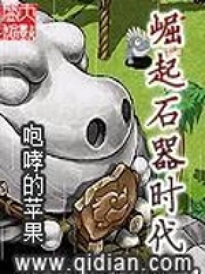 崛起石器时代（校对版全本） 封面