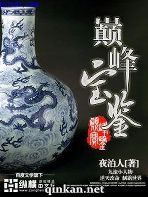 巅峰宝鉴（校对版全本） 封面