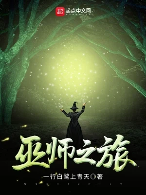 巫师之旅(校对版全本) 封面