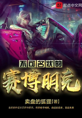 不可名状的赛博朋克（校对版全本） 封面