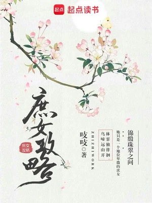 庶女攻略（校对版全本） 封面