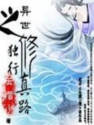 异世之独行修真路（校对版全本） 封面