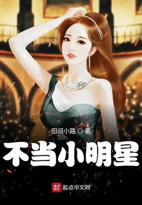 不当小明星（校对版全本） 封面