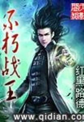 不朽战王(校对版全本) 封面