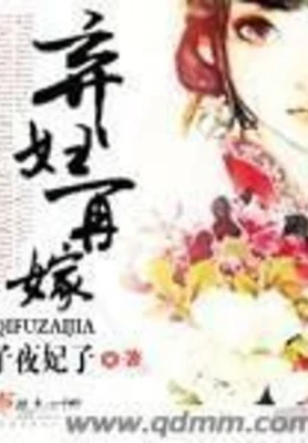 弃妇再嫁（校对版全本） 封面