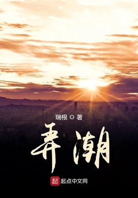 弄潮（校对版全本） 封面