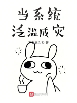当系统泛滥成灾（校对版全本） 封面