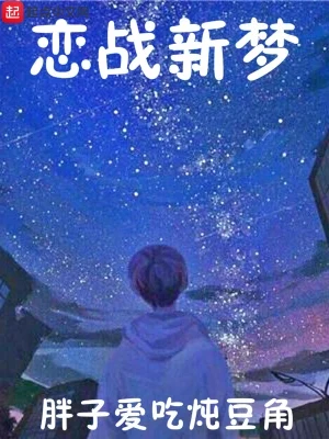 恋战新梦（校对版全本） 封面