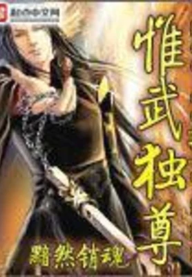 惟武独尊（校对版全本） 封面