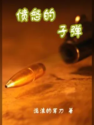 愤怒的子弹(校对版全本) 封面