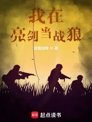 我在亮剑当战狼(校对版全本) 封面