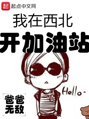 我在西北开加油站(校对版全本) 封面