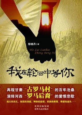 我在轮回中等你(实体版全本) 封面