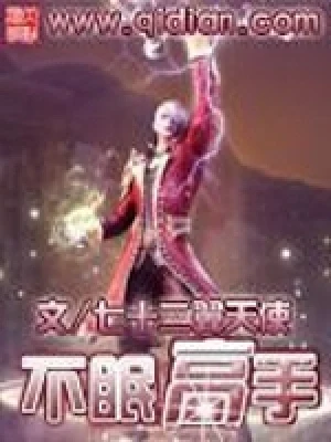不眠高手(校对版全本) 封面