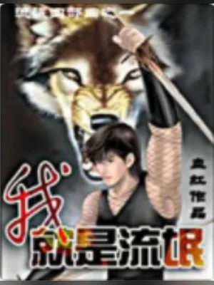 我就是流氓(流氓四部曲)（校对版全本） 封面