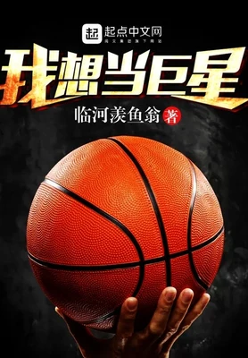 我想当巨星(校对版全本) 封面