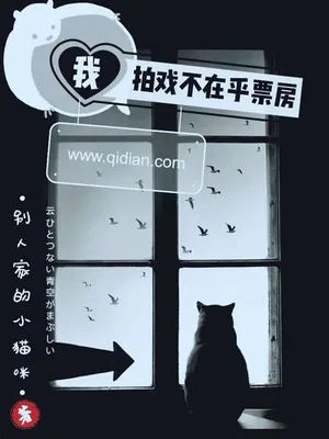 我拍戏不在乎票房(校对版全本) 封面