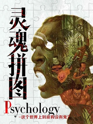 Psychology 灵魂拼图(校对版全本) 封面