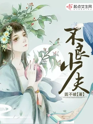 不良少夫（校对版全本） 封面