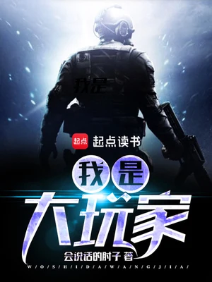 我是大玩家(校对版全本) 封面