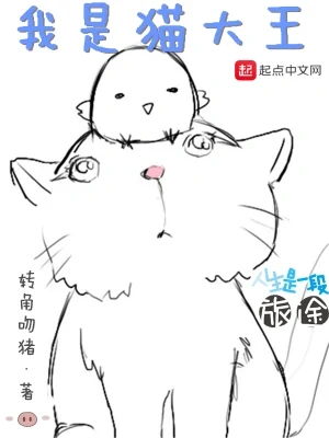 我是猫大王（校对版全本） 封面