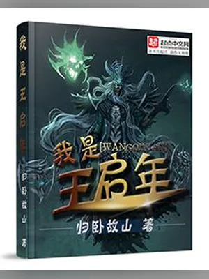 我是王启年（校对版全本） 封面