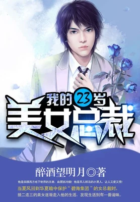 我的23岁美女总裁（校对版全本） 封面