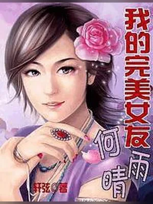 我的完美女友何雨晴（校对版全本） 封面