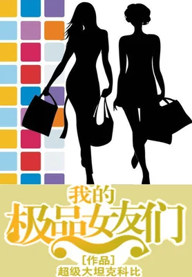 我的极品女友们（校对版全本） 封面