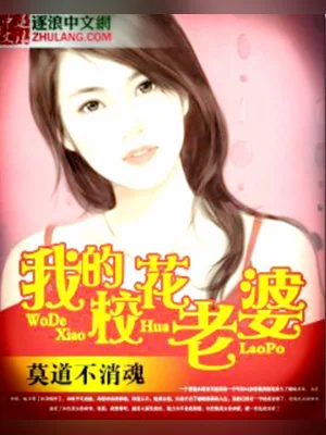 我的校花老婆（校对版全本） 封面