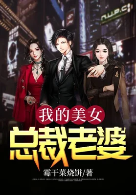 我的美女总裁老婆（校对版全本） 封面