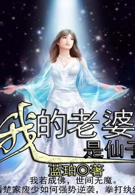 我的老婆是仙子（校对版全本） 封面