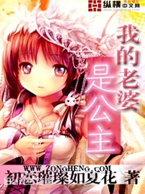 我的老婆是公主（校对版全本） 封面